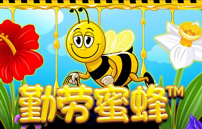 阿达斗地主